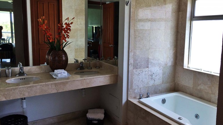 master-bathroom-with-bathtube-md-1499710862